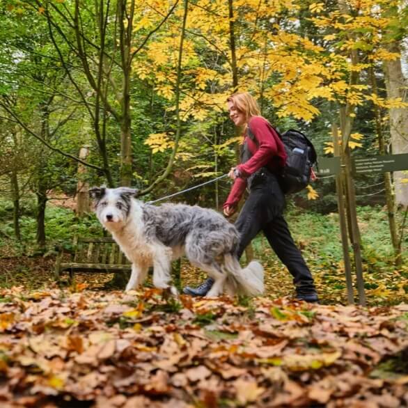 Woman walking a dog in autumn